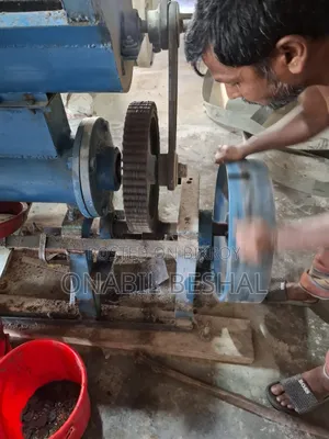 Automatic Mustard Oil Press Machine