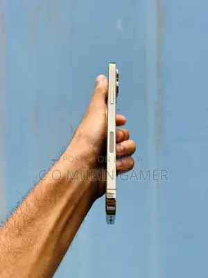 অ্যাপল আইফোন ১২ প্রো ম্যাক্স ১২৮ জিবি গোল্ড