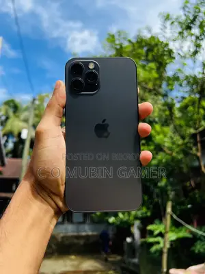 অ্যাপল আইফোন ১২ প্রো ম্যাক্স ২৫৬ জিবি ব্ল্যাক