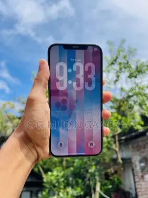 Apple iPhone 12 Pro Max 256 GB Black