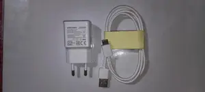 100% Official Box Charger and Cable