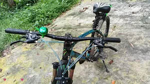 This bicycle is for sale.