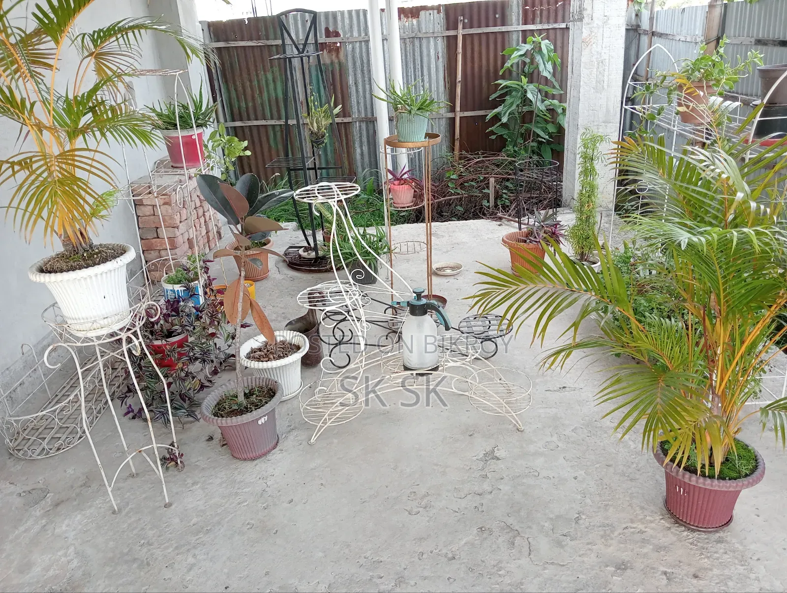 গাছ এবং স্টান সবকিছু বিক্রি করব ফুল সেট