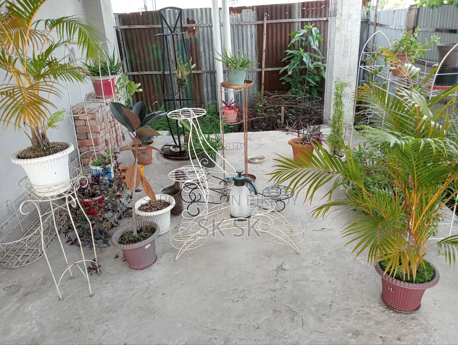 গাছ এবং স্টান সবকিছু বিক্রি করব ফুল সেট