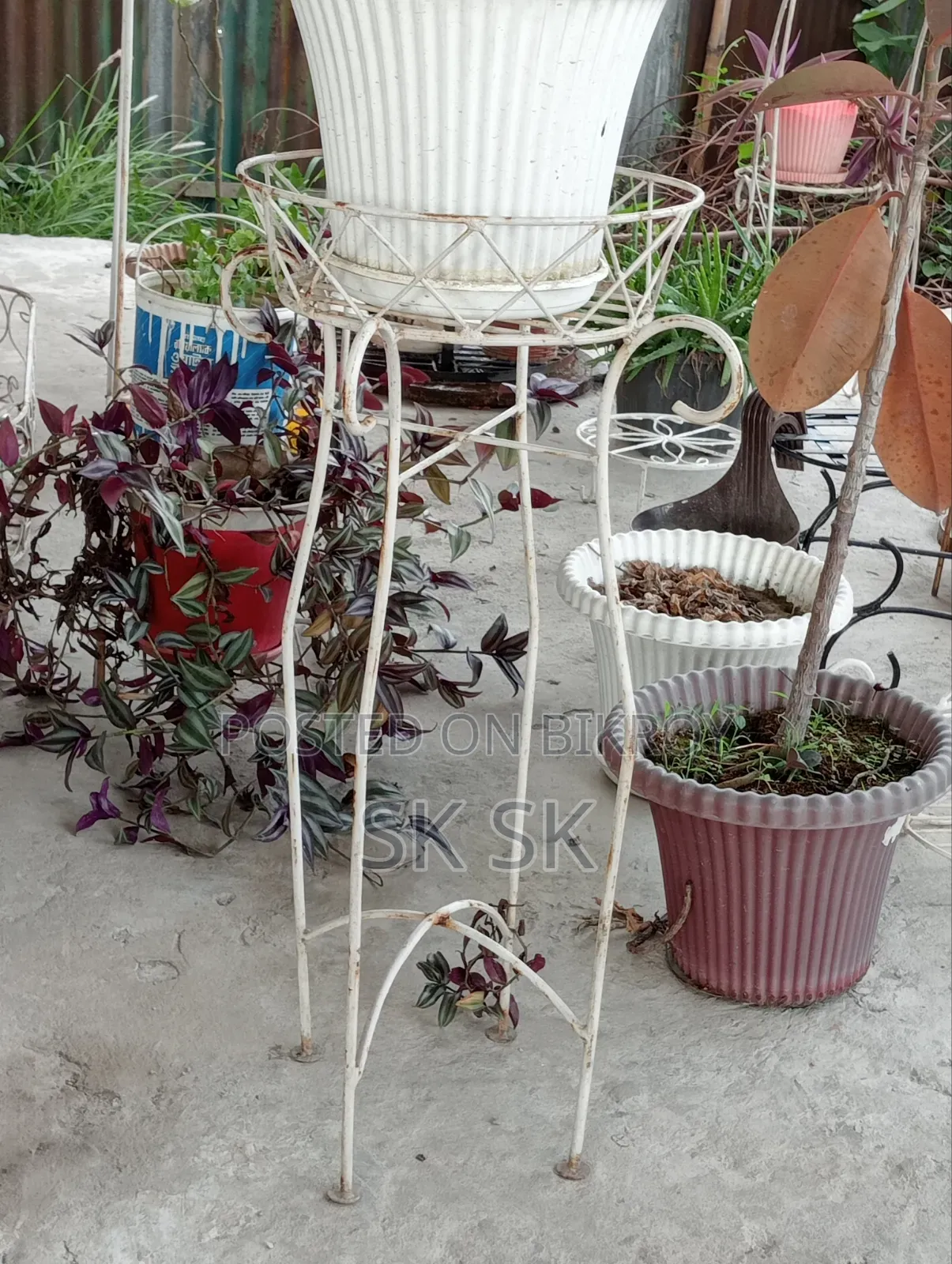 গাছ এবং স্টান সবকিছু বিক্রি করব ফুল সেট