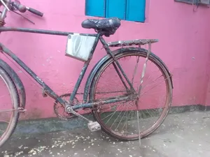 Running bicycle, no problems