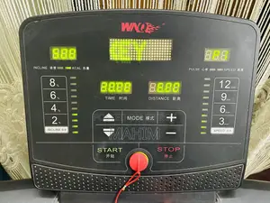 WNQ Motorized Treadmill (2 Hp)