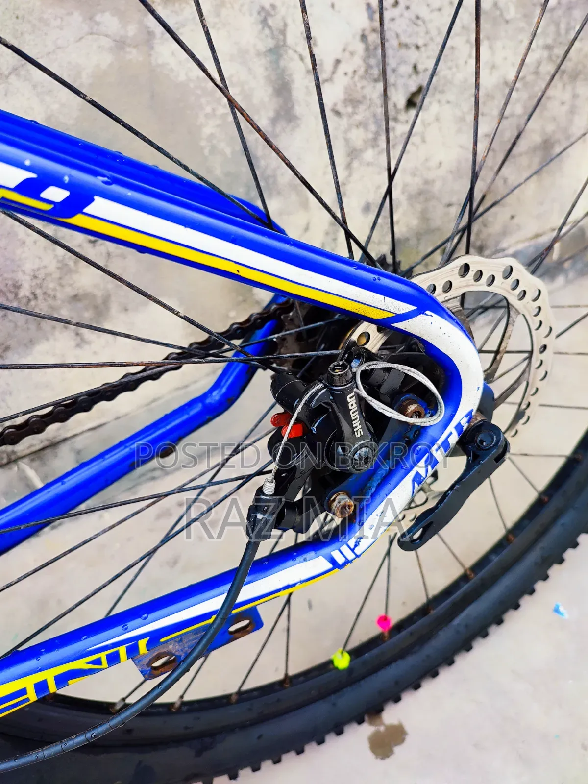 Finiss Gear Cycle