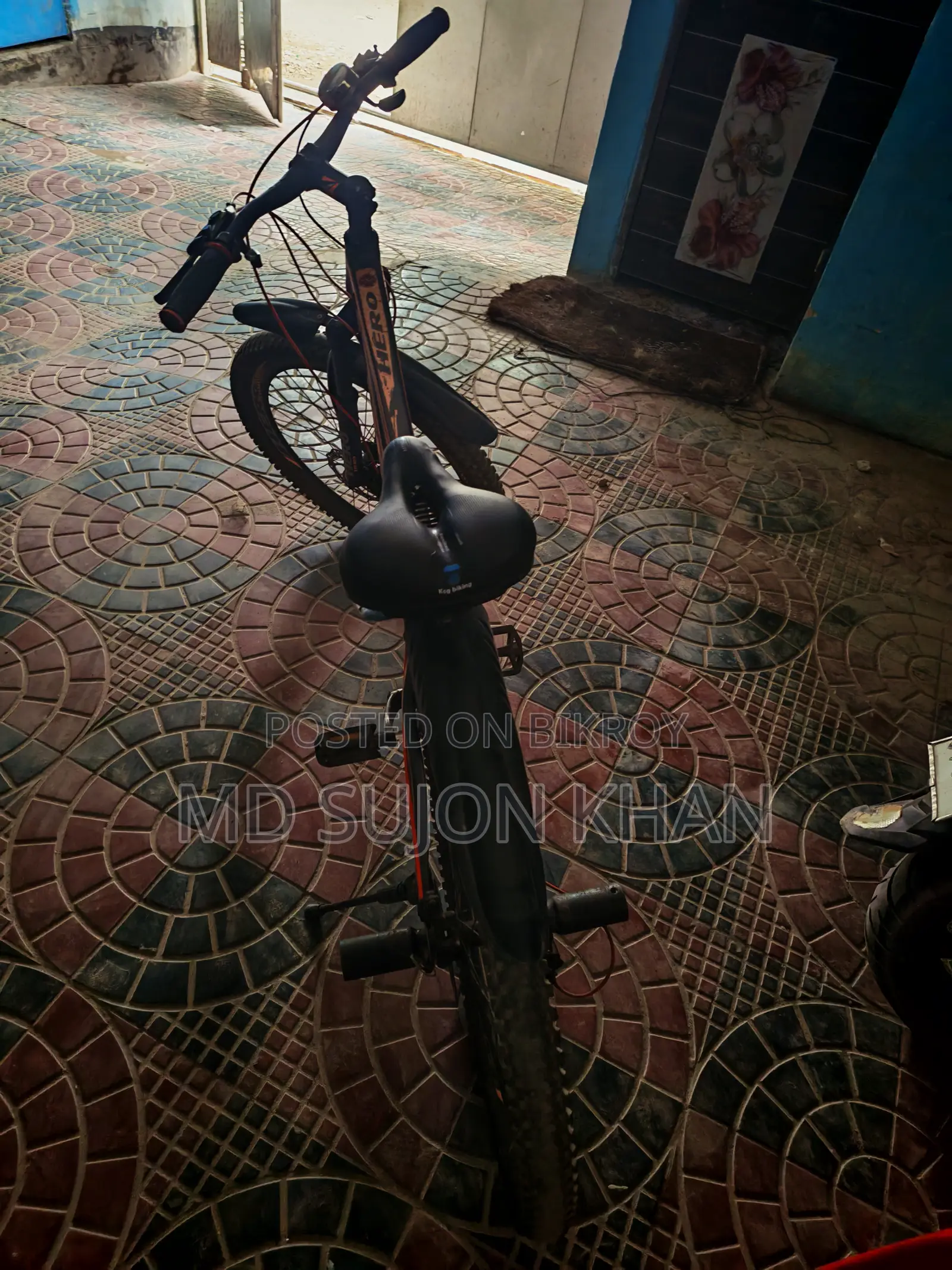Used Bicycle