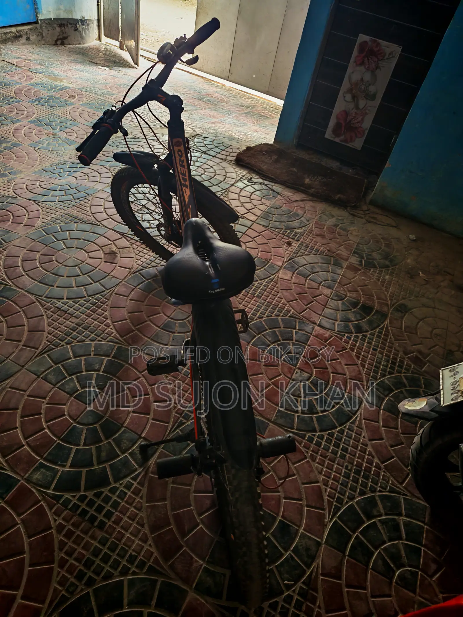 Used Bicycle
