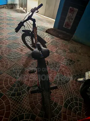 Used Bicycle