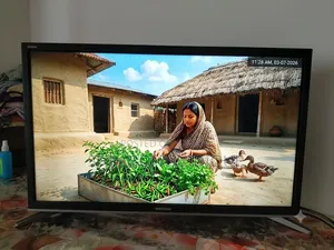 Walton 28" LED Television