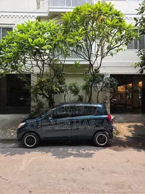 Maruti Suzuki Alto 2018 Green