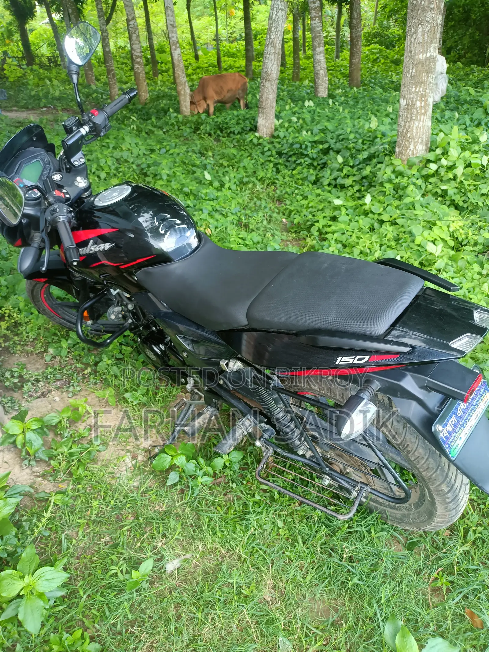 Bajaj Pulsar 150 2025 Black