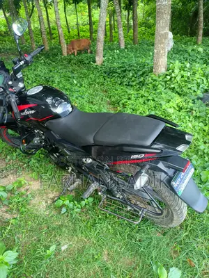 Bajaj Pulsar 150 2025 Black