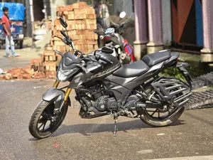 Honda Hornet 2024 Gray