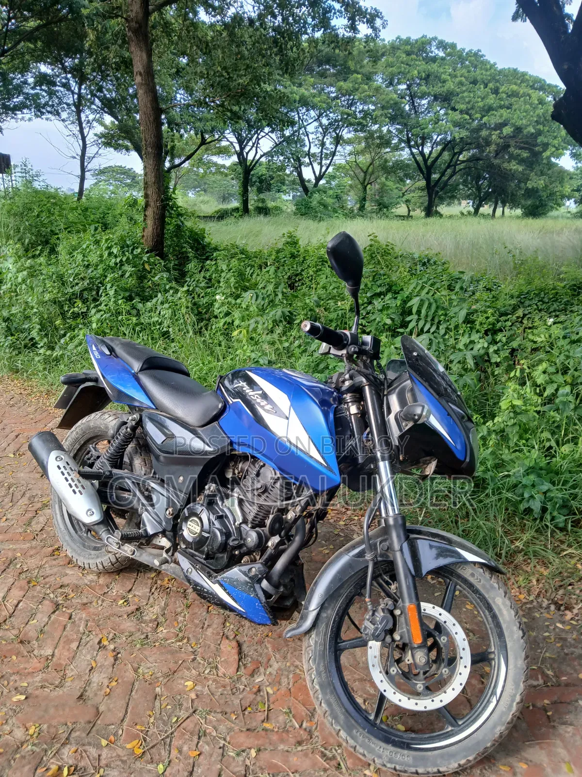 বাজাজ পালসার ১৫০ ২০২২ ব্লু