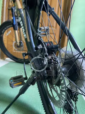 Modified Cycle  (Marine Gold)