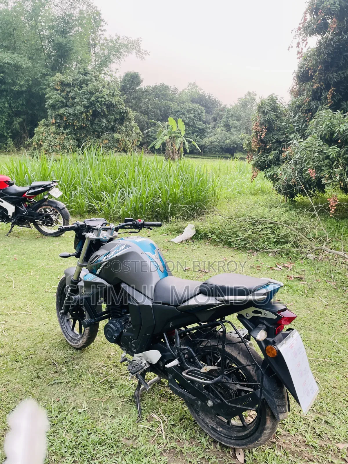 Yamaha FZ 2025 Gray