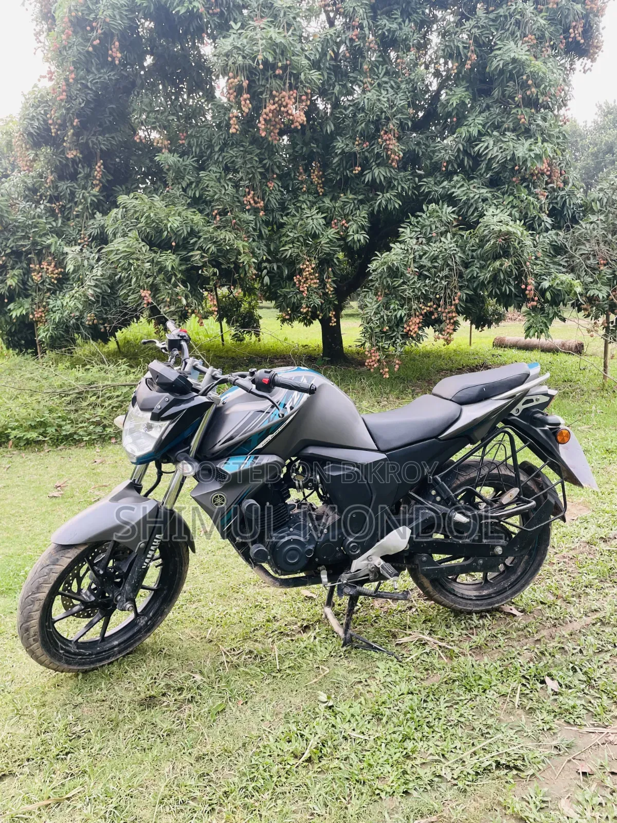 Yamaha FZ 2025 Gray