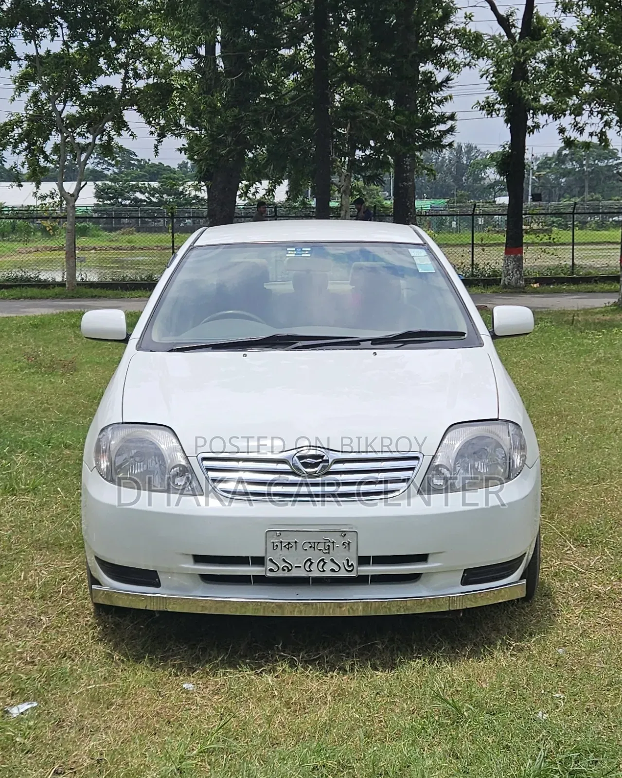 Toyota Corolla 2003 White