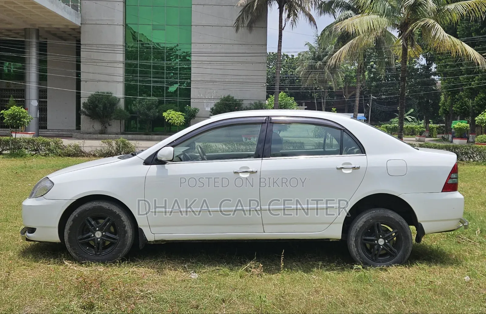Toyota Corolla 2003 White