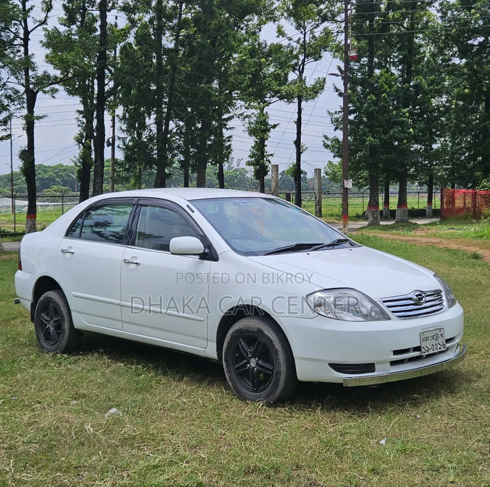 Toyota Corolla 2003 White