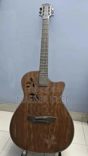Sqoe Sq-I Guitar