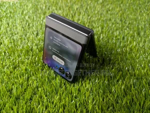 Motorola Razr 50 256 GB Silver