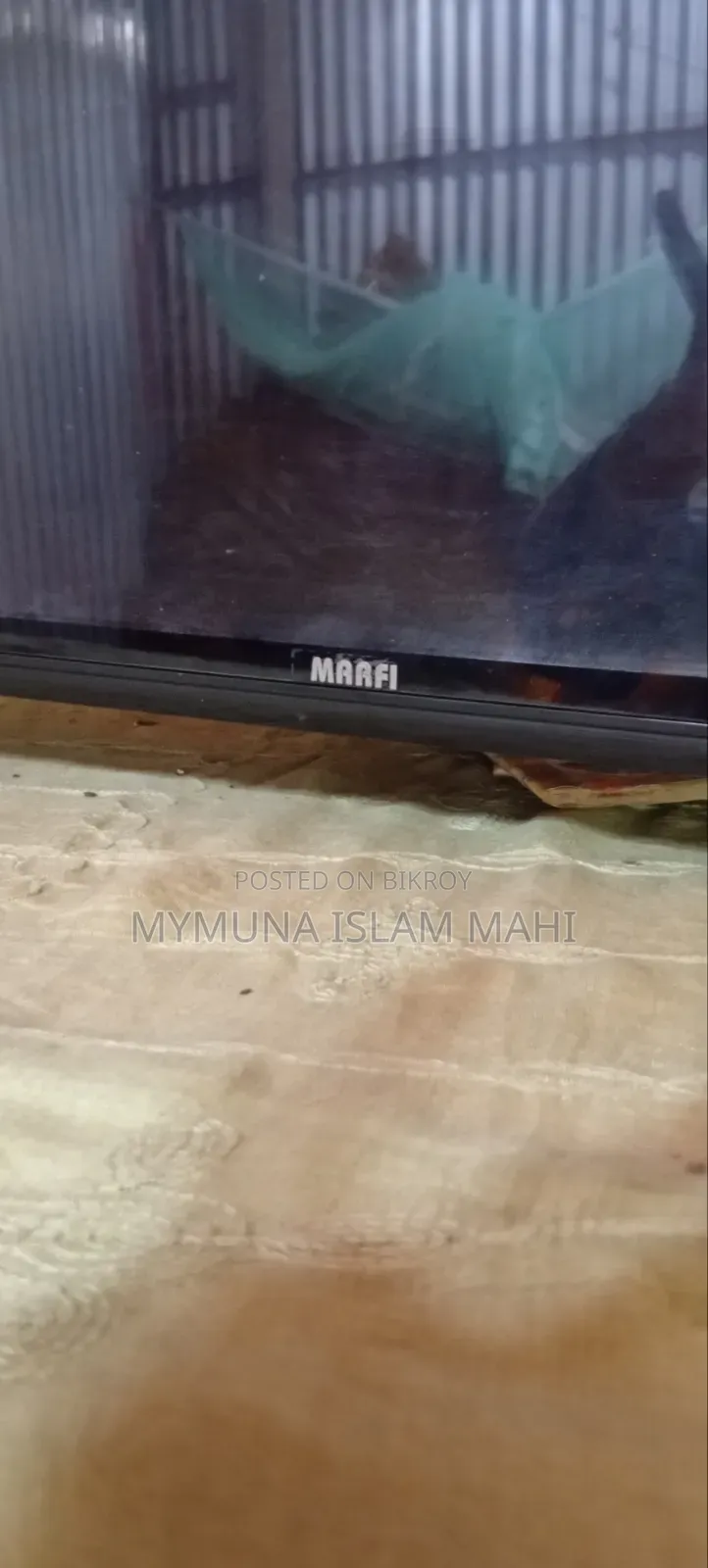 Marfi Television