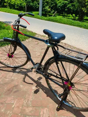 Phoenix 28" Single Frame Full Serviced Cycle – Office Ready