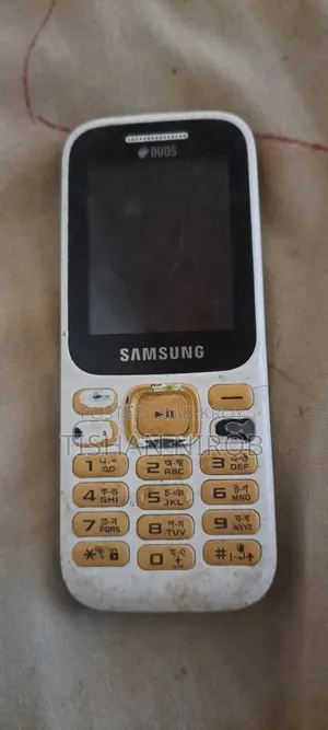 Samsung Guru Music 2 White