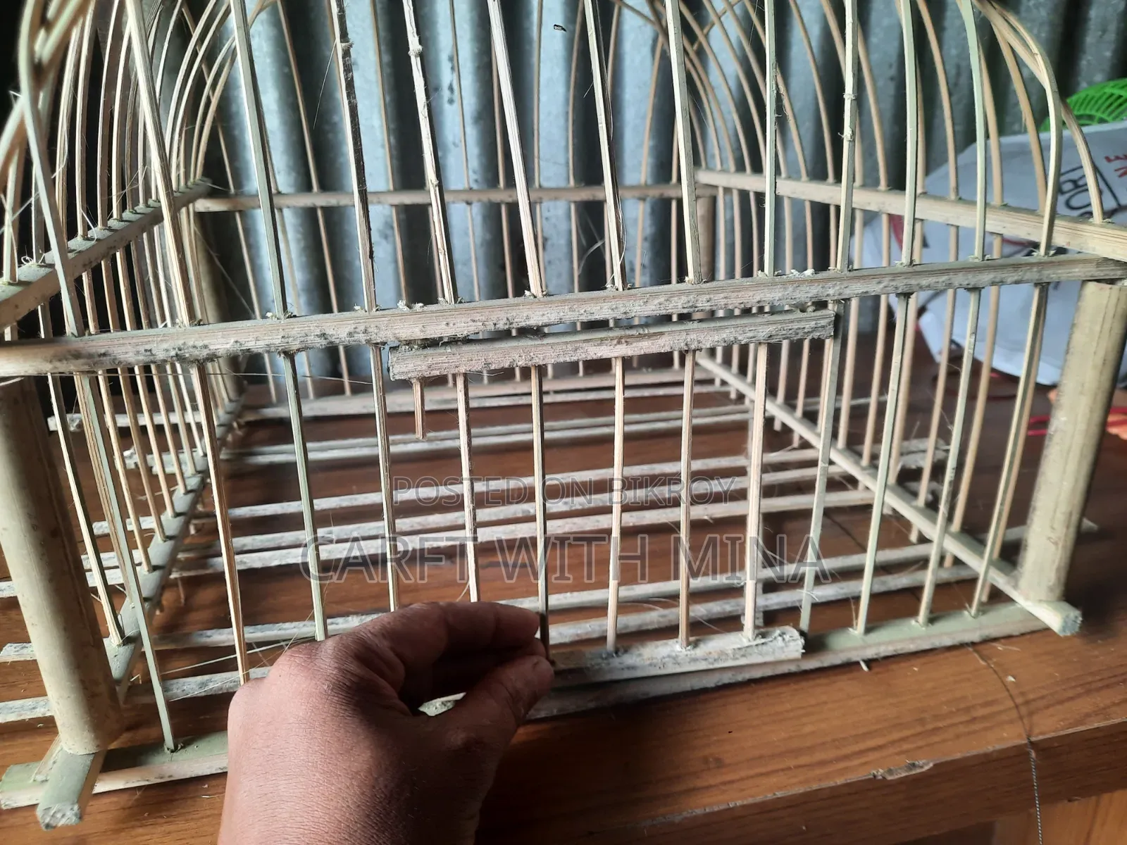 Pigeon Cage