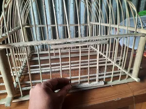Pigeon Cage