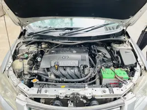 Toyota Corolla Fielder 2010 Silver