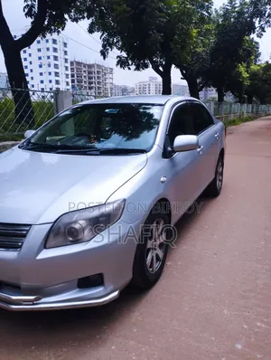 Toyota Axio 2010 Silver