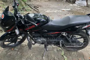 Bajaj Pulsar 150 2017 Black