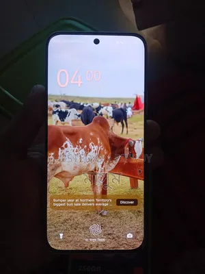 Infinix Hot 60 Pro+ 256 GB