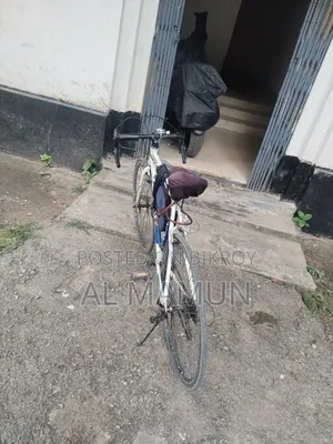 টিম১০০ বাইসাইকেল