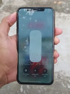অ্যাপল আইফোন এক্সএস ম্যাক্স ২৫৬ জিবি রোজ গোল্ড