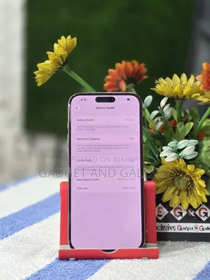 Apple iPhone 16 Pro Max 256 GB Gray