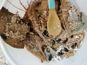 মেইল ওয়ার্ম +বাফেল ওয়ার্ম বিক্রয়
