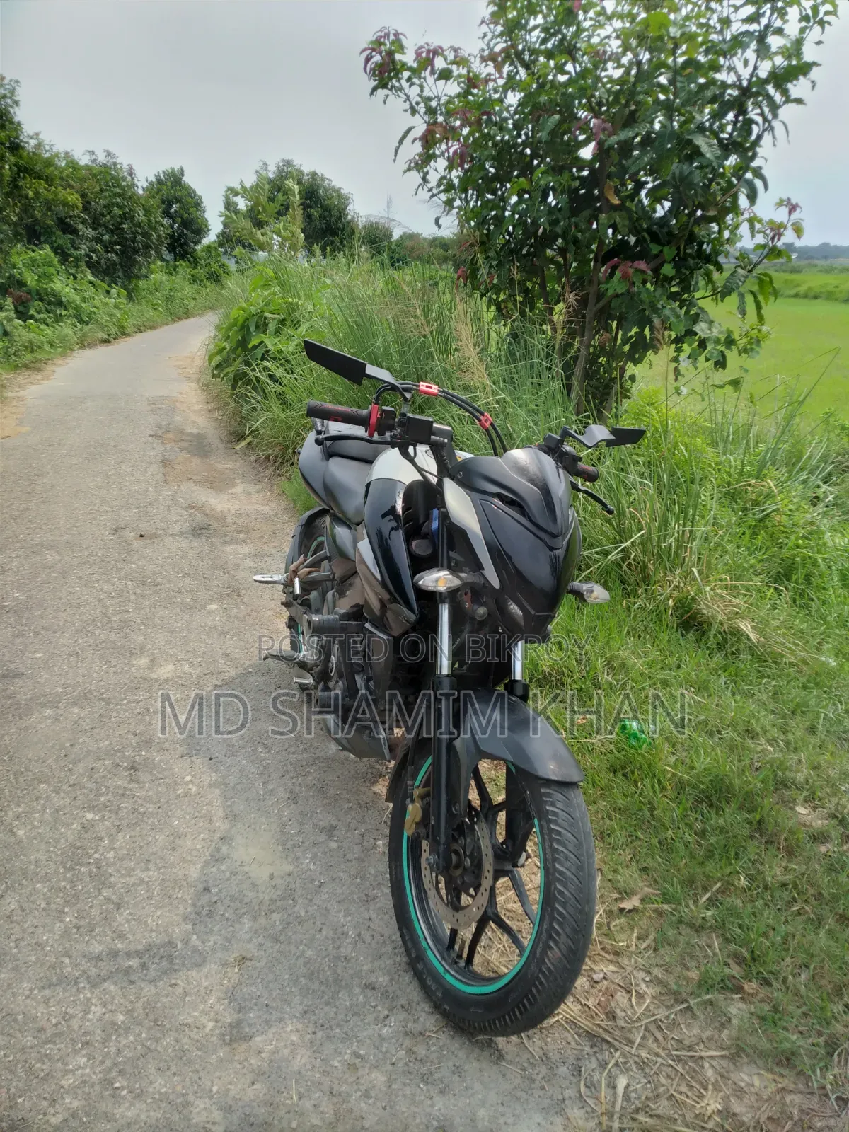 Bajaj Pulsar NS 160 2018 Black