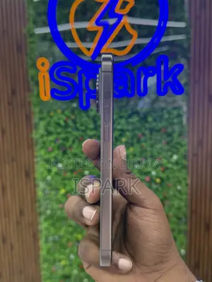 Apple iPhone 15 Pro Max 256 GB Gray