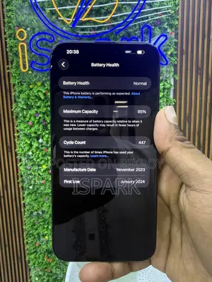 Apple iPhone 15 Pro Max 256 GB Blue