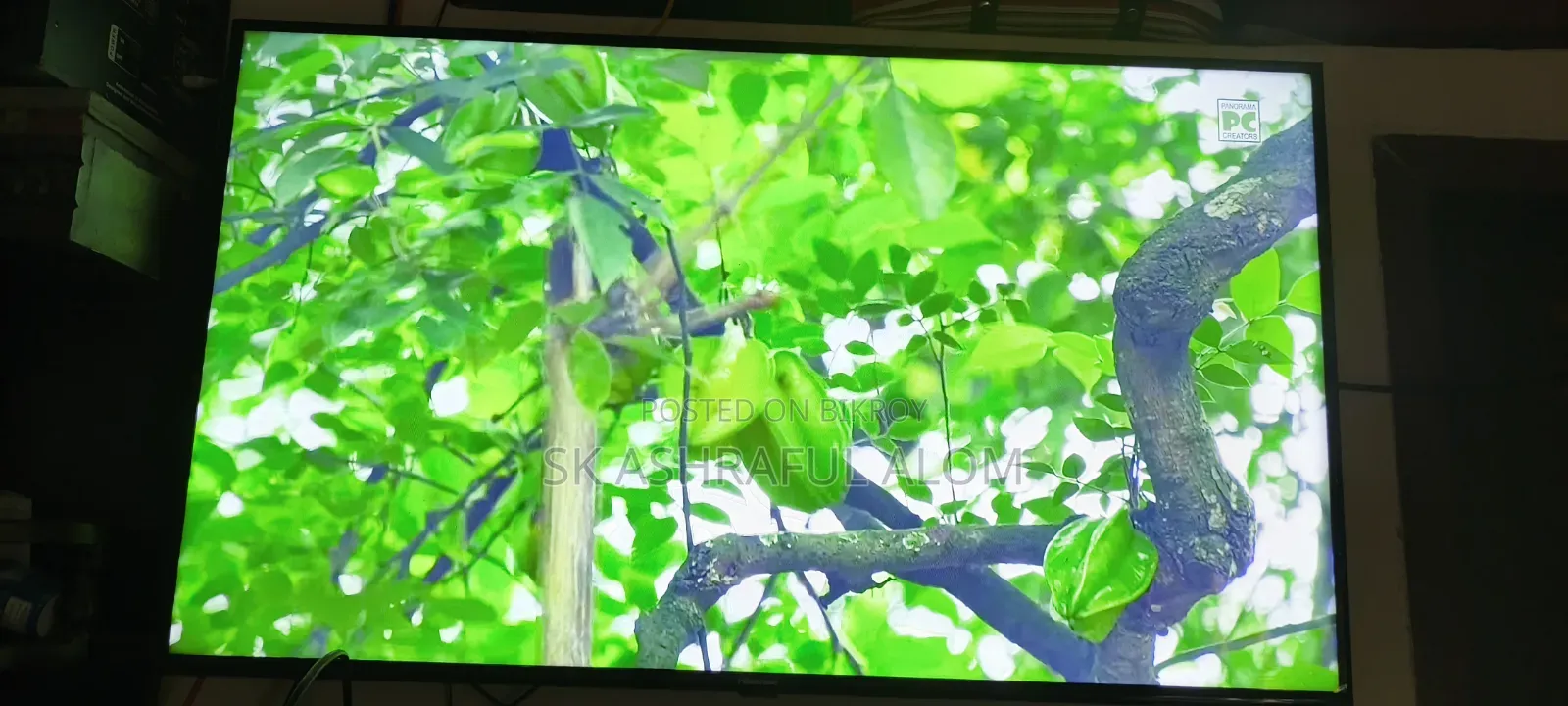 Hisense Android 43 Led Tv