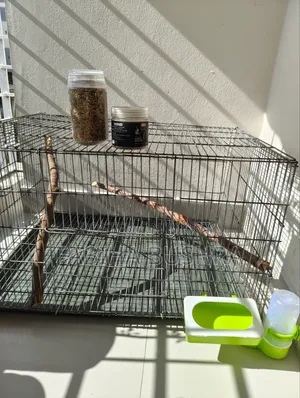 Bird cage, tray, food, food and water container