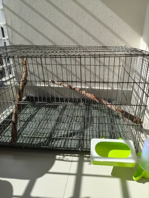 Bird cage, tray, food, food and water container