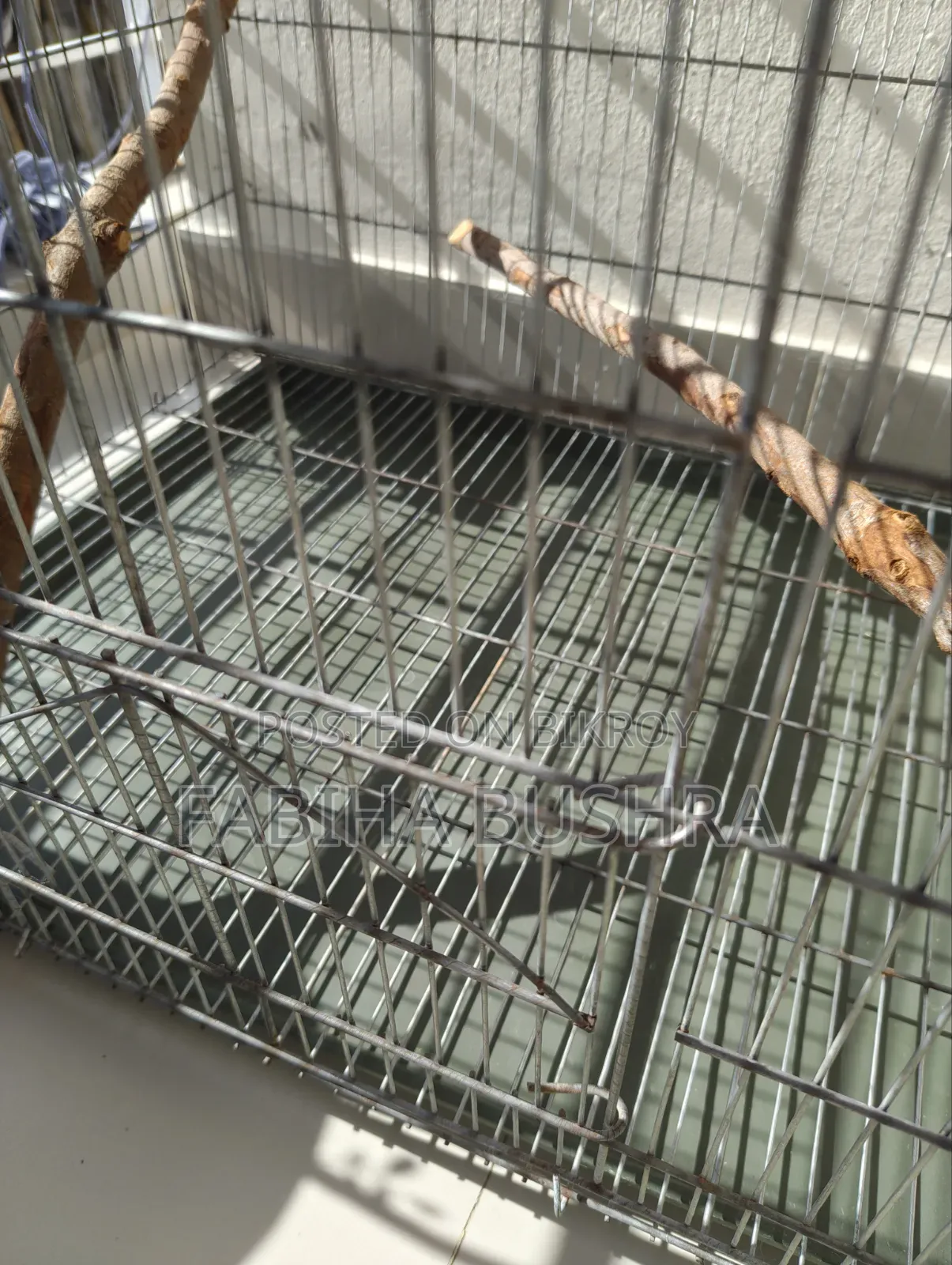 Bird cage, tray, food, food and water container