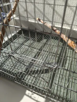 Bird cage, tray, food, food and water container